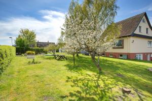a park with a tree and a bench in front of a house at Rügenferienhaus eg und og in Schaprode