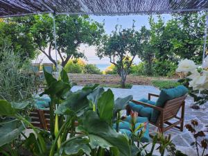 une terrasse avec 2 chaises et quelques plantes dans l'établissement Serenita verde Apartment, à Poros