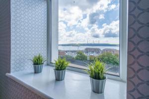 three potted plants sitting on a window sill at Haven View - 2 Bedroom Apartment - Milford Haven in Milford Haven