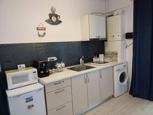 een kleine keuken met een wastafel en een vaatwasser bij Lora Studio in Mamaia Nord – Năvodari