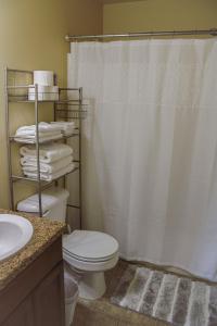 a bathroom with a toilet and a shower curtain at Chic Residence Near DT Sheridan in Sheridan