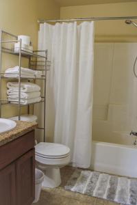 La salle de bains est pourvue d'un rideau de douche et de toilettes. dans l'établissement Chic Residence Near DT Sheridan, à Sheridan