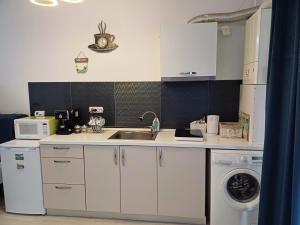 een keuken met een wastafel en een wasmachine bij Lora Studio in Mamaia Nord – Năvodari