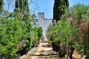 A garden outside Masseria Bianca
