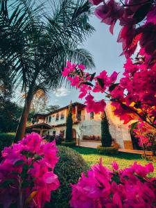 um ramo de flores cor-de-rosa em frente a um edifício em Casa Colonial San Alejo em La Unión