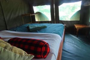 1 Schlafzimmer mit 2 Etagenbetten in einem Zelt in der Unterkunft Orwas maasai Mara safari camp in Kenya in Sekenani