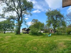 a yard with a tree and a house at Camping sous les Poiriers in Domfront