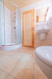 a bathroom with a toilet and a sink and a shower at Ośrodek Wrzosowa Góra - domki in Ruciane-Nida