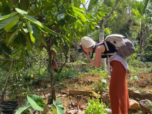een vrouw met een rugzak die naar een boom kijkt bij Ella nine arch spice garden in Ella