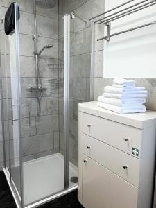 a bathroom with a shower and a white dresser at Apartment Wohlfühlplatzl - urgemütlich & ruhig in Vogtareuth