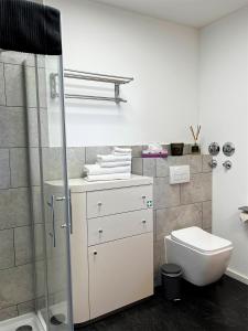 a white bathroom with a toilet and a shower at Apartment Wohlfühlplatzl - urgemütlich & ruhig in Vogtareuth