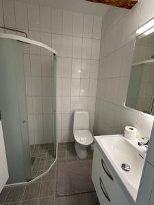 y baño con aseo, lavabo y ducha. en Innerstan nya lägenheter Södramurgatan 45b, en Visby