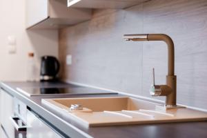 a kitchen counter with a sink and a faucet at Apartments Naklo in Naklo