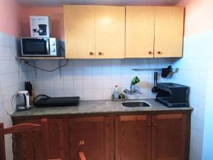 a kitchen with a sink and a microwave at Casa terrera de 2 dormitorios en Fasnia in Fasnia