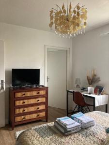 a bedroom with a bed and a television and a chandelier at Villa Rose Suite et chambres chez l'habitant in Montpellier
