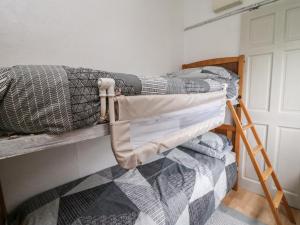 a bedroom with two bunk beds and a ladder at Chalet 32 in Aberystwyth