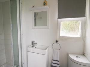 a bathroom with a sink and a toilet and a window at Chalet 32 in Aberystwyth +5 photos