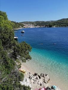 Blick auf einen Strand mit Menschen, die im Wasser schwimmen in der Unterkunft Luxury apartment Povlja in Povlja