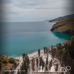 an aerial view of a beach with trees and water at Micra Anglia Boutique Hotel & Spa in Andros