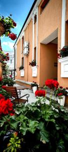 a building with red flowers in front of it at BUCUR 9 in Bucharest