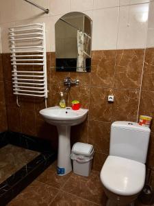 ボロフタにあるKhatky Na Penkakhのバスルーム(洗面台、トイレ、鏡付)