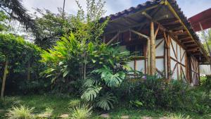 a house in the middle of a garden at CENTRO HOLISTICO ALLPA SAMAY in Puentetierra