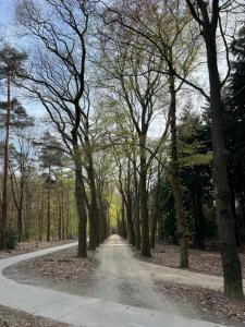 un camino de tierra con árboles a ambos lados en Casa de Anne Steenwijk-Giethoorn, en Steenwijk
