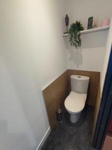 een badkamer met een toilet met een plant op een plank bij La Gentilhommière 1 in Manvieux