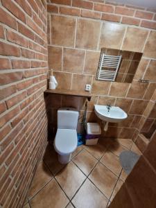 a bathroom with a brick wall and a toilet and a sink at Pensjonat pod Dębami in Pobierowo