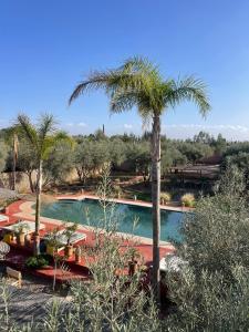 un palmier à côté d'une piscine dans l'établissement Villa Chez Marie, à Marrakech 13 autres photos