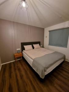 - une chambre avec un lit et un écran de projection dans l'établissement New downtown Akureyri apartment, à Akureyri