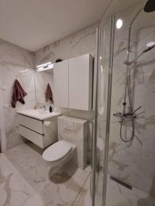 La salle de bains est pourvue d'une douche, de toilettes et d'un lavabo. dans l'établissement New downtown Akureyri apartment, à Akureyri