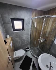 a bathroom with a shower and a toilet and a sink at Duos East in Soko Banja
