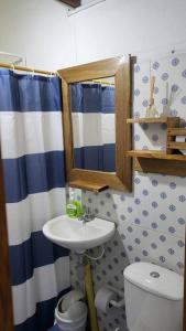 W łazience znajduje się umywalka, toaleta i lustro. w obiekcie Cabaña Central y Acogedora con Wifi w mieście San Rafael