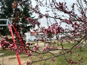 Foto dalla galleria di Pensjonat Diament a Borne Sulinowo