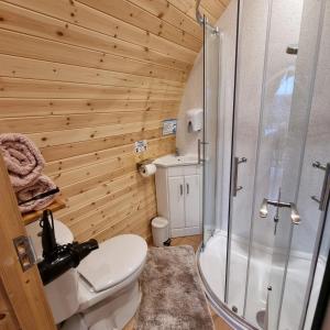 a bathroom with a shower and a toilet and a sink at Forester's Retreat Glamping - Cambrian Mountains View in Aberystwyth