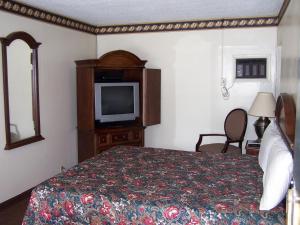a hotel room with a bed and a television at Delta Motel in Bay City