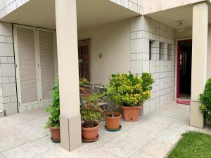 un grupo de plantas en macetas sentadas en un patio en L'angolo verde apartment, en Moncalieri