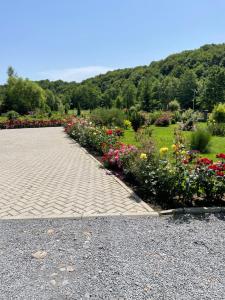 Foto dalla galleria di Casa Nagy a Sovata