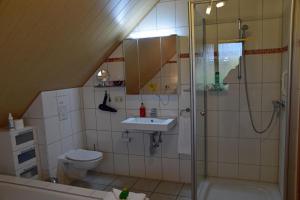 a bathroom with a shower and a toilet and a sink at Luxus-Ferienwohnung für Ruhesuchende in der Natur in Uchte