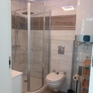 a bathroom with a toilet and a glass shower at BlueLine Apartments am Wörthersee in Schiefling am See