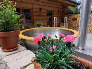 a group of flowers in a pot on a patio at Ferienhaus - Chalet - Lechtraum in Stanzach