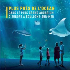 een groep kinderen die naar haaien in een aquarium kijken bij Le Petit Paradis : 2-4 pers WIFI in Boulogne-sur-Mer