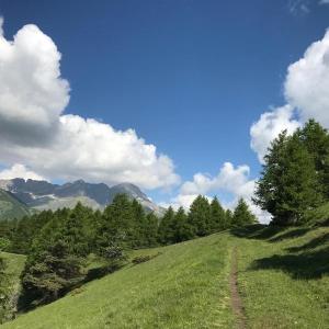 Rifugio Lou Lindal في Canosio: تل عشبي وبه أشجار وسماء زرقاء وغيوم