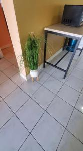 een tafel en een potplant op een tegelvloer bij Caribbean Estate Vacay Stay 3 in Portmore