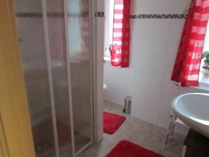 een badkamer met een douche en een wastafel bij Barrierefreie Ferienwohnung mit Terrasse in Kühlungsborn