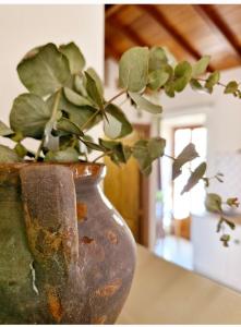 un jarrón con una planta en él sentado en una mesa en Apartamentos VITA CENTER, en Granada