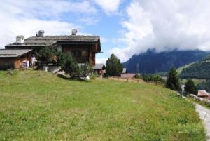 uma casa no topo de uma colina com um campo em Bündnerchalet im Herz der Schweizer Alpen em Disentis
