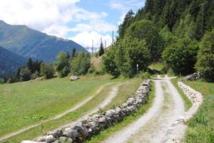 un camino de tierra en medio de un campo en Bündnerchalet im Herz der Schweizer Alpen, en Disentis