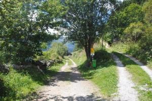 dos caminos de tierra con árboles a ambos lados en Bündnerchalet im Herz der Schweizer Alpen en Disentis